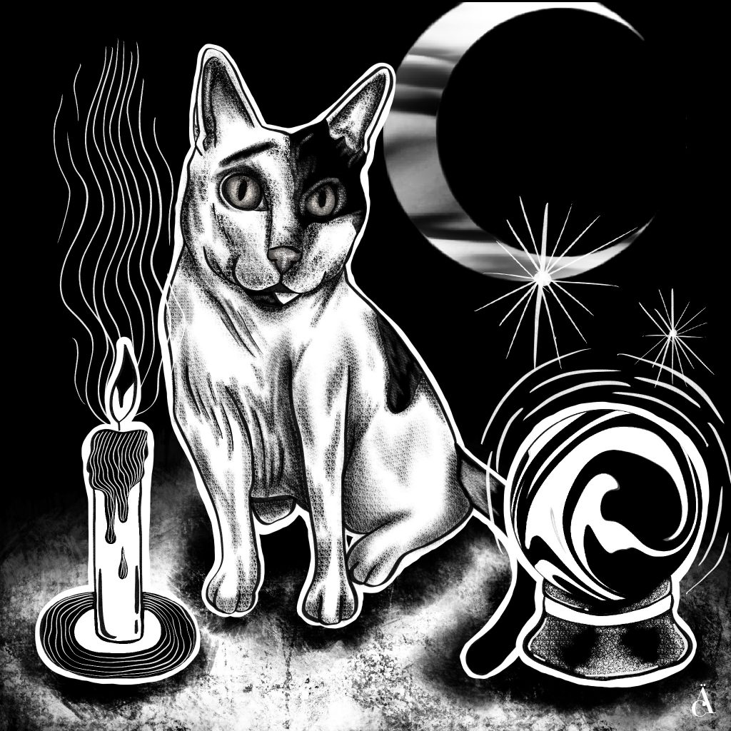 illustration noir et blanc dark ésotérisme projet personnel chat sorcellerie chat noir et blanc spiritualité spirituel dessin digital ipad pro 2020 graphisme design graphique étudiante en graphisme anaïs collignon